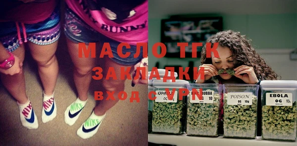шишки Алексеевка