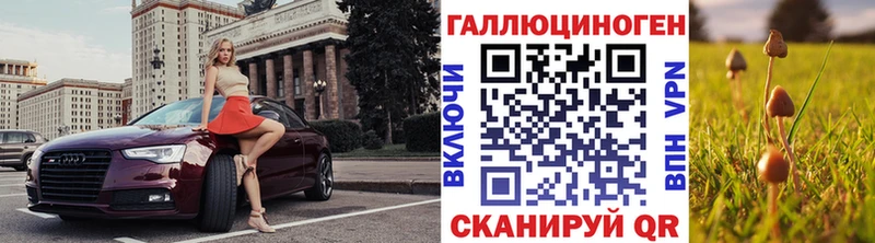 Галлюциногенные грибы мицелий  где можно купить   Сим 